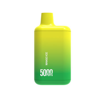 재충전 할 수 있는 일회용 바이프 펜